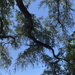 Meet your Posher, Ellen